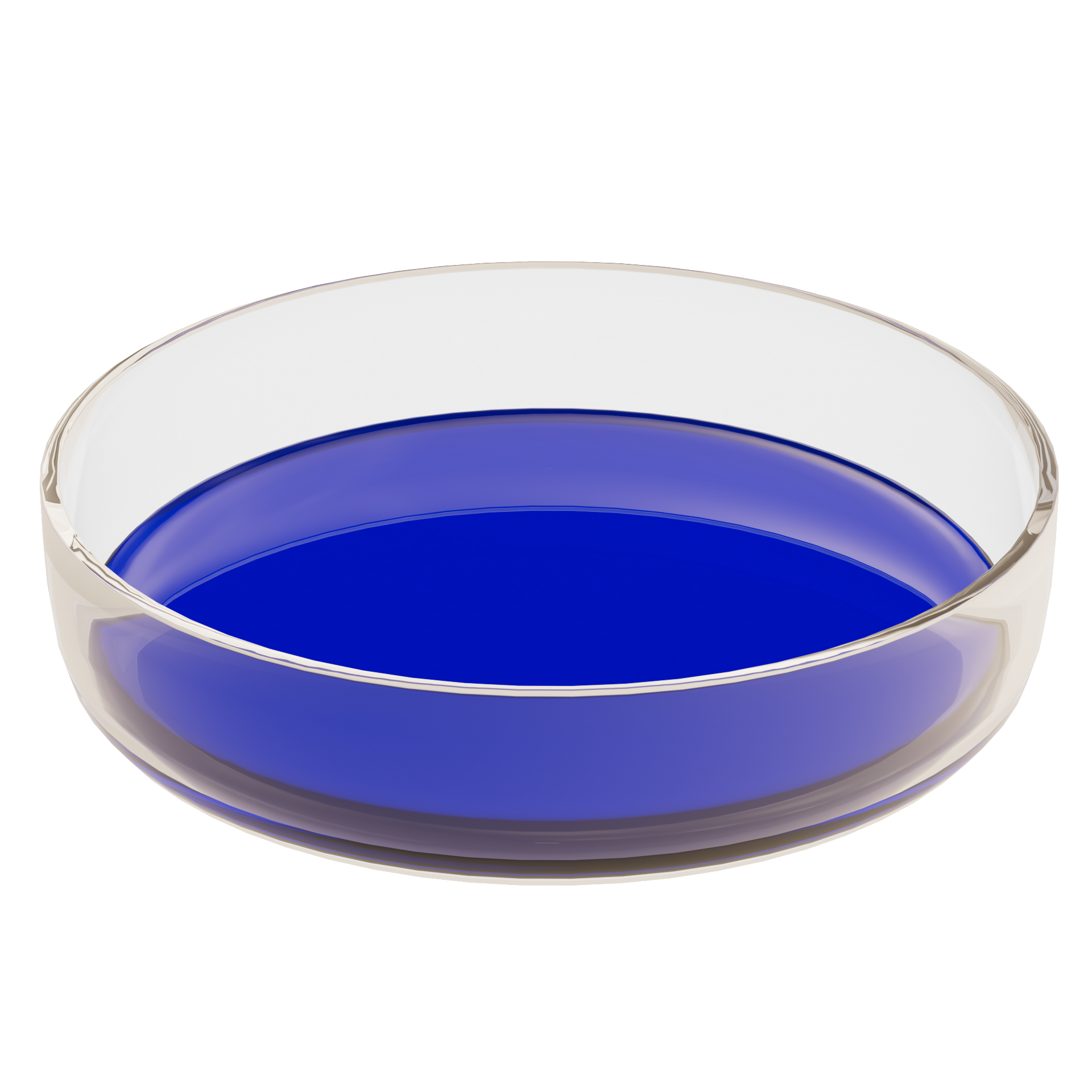 表面皿3D模型
